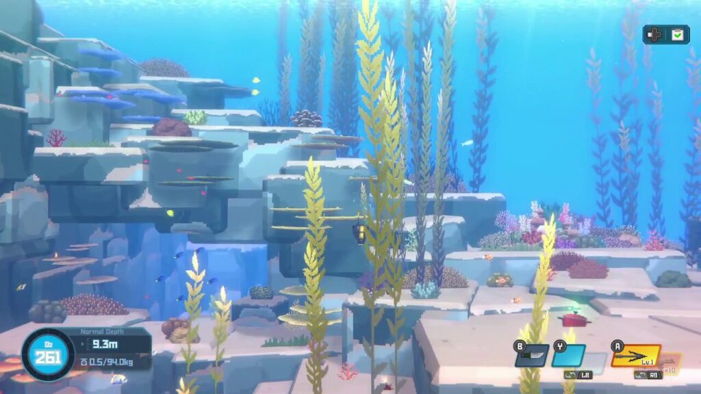 きれいな海の中
