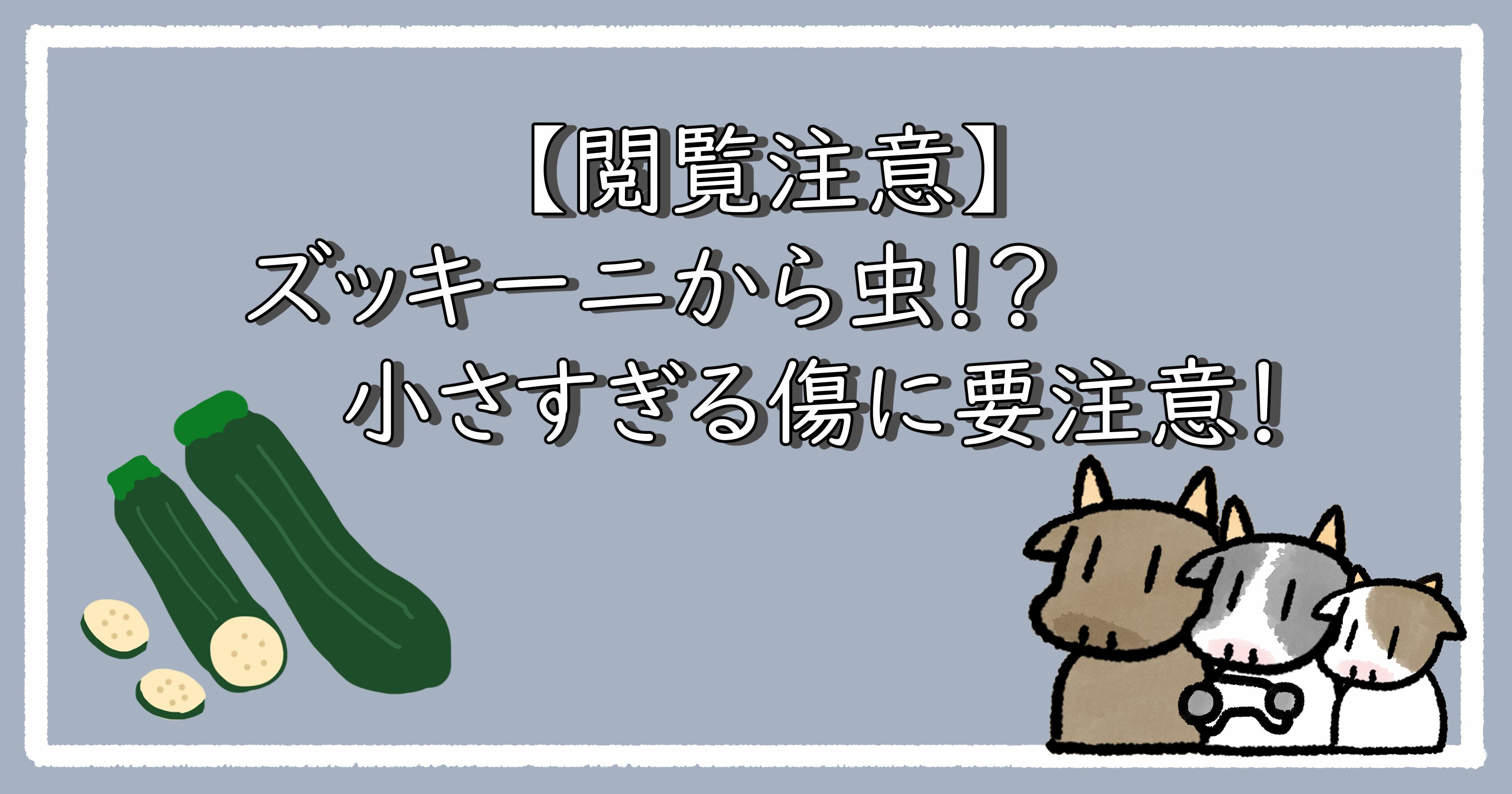 ズッキーニから虫！？小さすぎる傷にご注意！｜アイキャッチ
