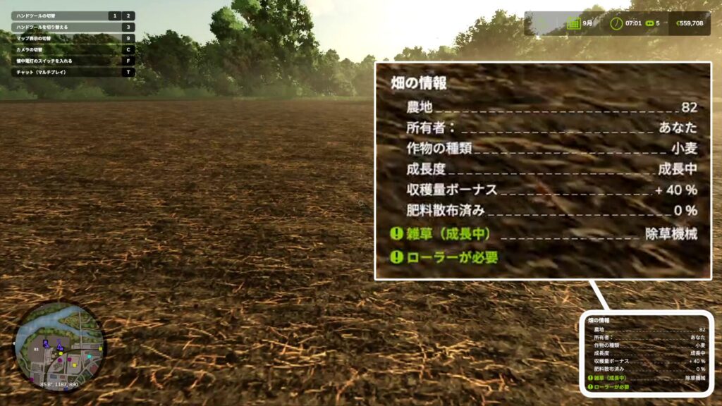 種蒔き後の畑の情報